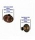 PINCHE BROCHE