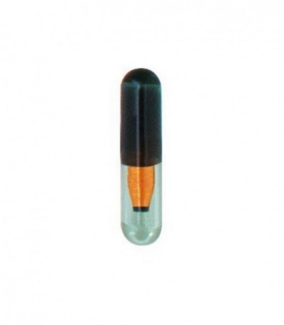 TRANSPONDER MG CRYPTO COPY      TPX8+