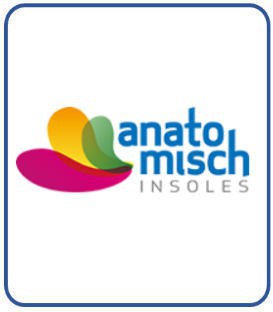 Anatomisch